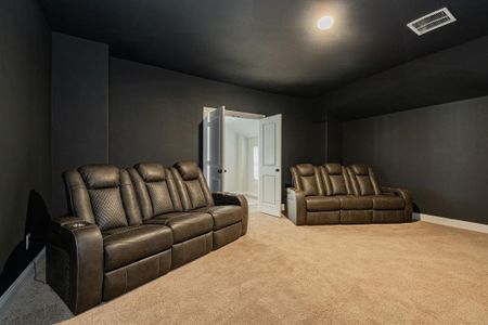 New construction Single-Family house 1725 Frisco Hills Blvd, Little Elm, TX 75068 null- photo 29 29