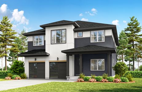 New construction Single-Family house 16459 Timbercrest Dr, Monument, CO 80132 plan Palmer - image