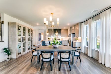 New construction Single-Family house 2232 Lakelet Dr, McKinney, TX 75071 plan Toulouse - image 9