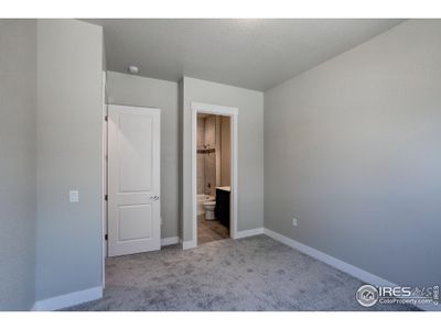 New construction Townhouse house 6235 Vernazza Way, Unit 4, Windsor, CO 80550 Duxbury- photo 19 19