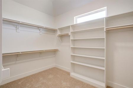 New construction Single-Family house 210 Talpin Ln, Venus, TX 76084 plan The Avery - image 16