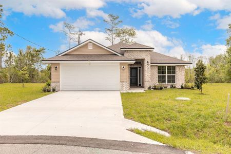 New construction Single-Family house 18 Squadron Pl, Palm Coast, FL 32164 plan 1820 - image