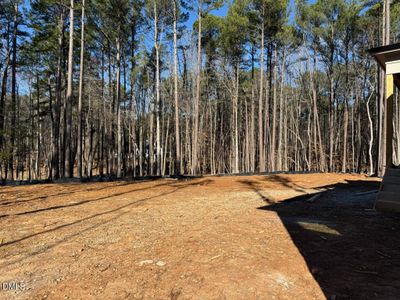 New construction Single-Family house 7441 Summer Tanager Trl, Raleigh, NC 27614 - image 2