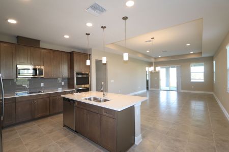 New construction Single-Family house 38357 Palomino Dr, Dade City, FL 33525 Picasso Bonus- photo 108 108