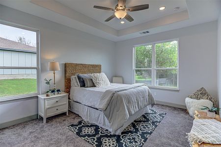 New construction Single-Family house 162 Puu Waa Waa Ln, Bastrop, TX 78602 null- photo 18 18