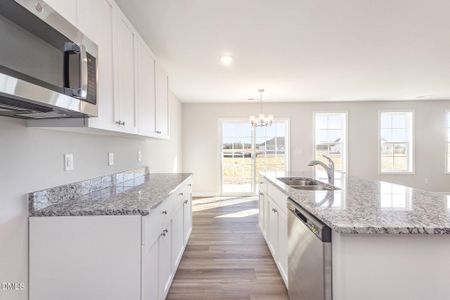 New construction Single-Family house 54 Littlefield Ln, La Grange, NC 28551 - image 8