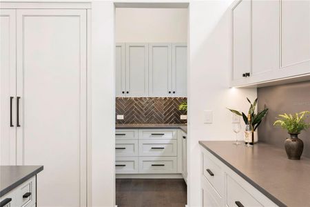 New construction Single-Family house 4823 W San Jose St, Tampa, FL 33629 - image 19