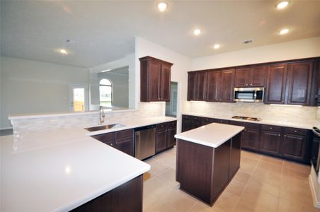 New construction Single-Family house 2107 Amistaqd Rd, League City, TX 77539 - image 13
