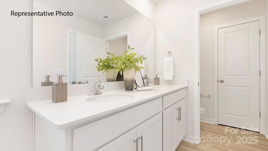 New construction Single-Family house 1036 Horizon Ln, Chester, SC 29706 plan Darwin - image 9