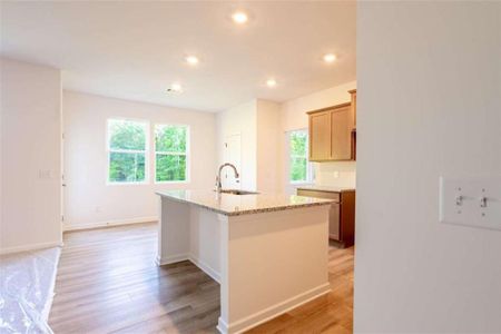 New construction Single-Family house 222 River Run Dr, Dallas, GA 30132 plan Graham - image 3