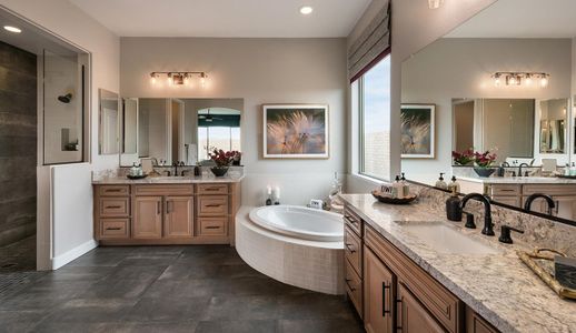 Verrado Highlands - Legacy Series by David Weekley Homes in Buckeye - photo 32 32