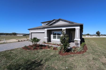 New construction Single-Family house 38357 Palomino Dr, Dade City, FL 33525 Picasso Bonus- photo 33 33