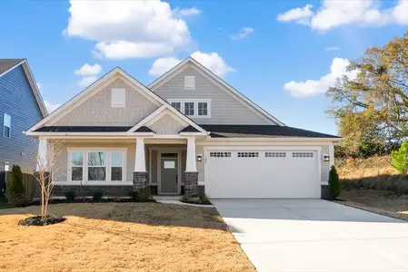 New construction Single-Family house 121 Hopton Pl, Fountain Inn, SC 29644 plan Palladio Ranch - image