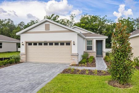 New construction Single-Family house 243 Fredericksburg Ave, Orange City, FL 32763 - image