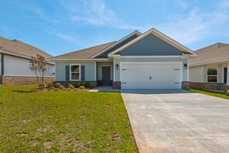 New construction Single-Family house Freeport, FL 32439 plan Denham - image