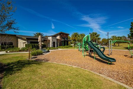 New construction Single-Family house 17291 Saw Palmetto Ave, Clermont, FL 34714 Morris- photo 46 46