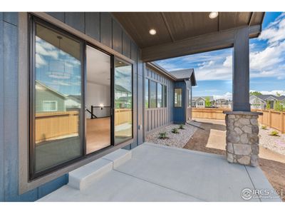 New construction Single-Family house 823 Clydesdale Dr, Windsor, CO 80550 - image