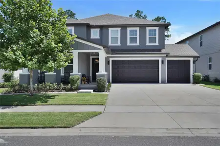 New construction Single-Family house 2210 Gold Dust Dr, Minneola, FL 34715 - image