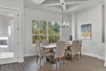New construction Single-Family house 190 Spiritual Pass, Spring Branch, TX 78070 - image 6