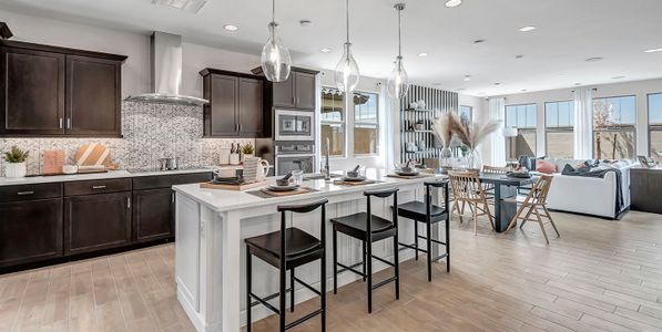 New construction Single-Family house 1490 W Macaw Dr, Queen Creek, AZ 85140 plan Citrine - image 6