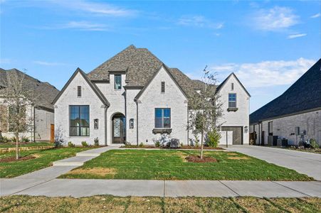 New construction Single-Family house 1703 Emberwood Horizon Lane, Mansfield, TX 76063 289 Plan- photo 0