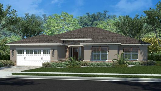 New construction Single-Family house 8447 Southwest 99th Street Road, Ocala, FL 34481 - photo 0