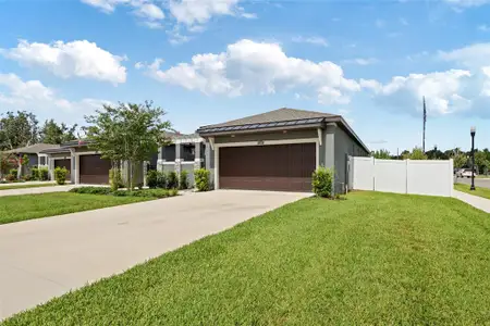 New construction Single-Family house 288 Villa Corte Dr, Lutz, FL 33549 plan Capri - image