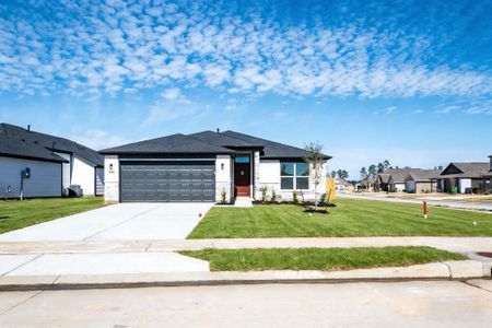 New construction Single-Family house 10411 Woodhill Spa Ln, Cleveland, TX 77327 - image