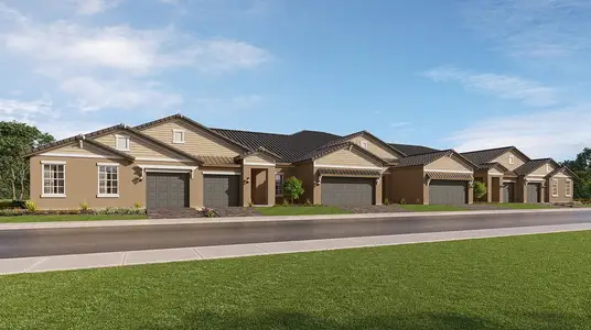 New construction Single-Family house 17393 Tortoise Crown Blvd, Land O' Lakes, FL 34638 plan Aurora II* - image