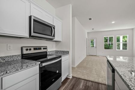 New construction Single-Family house 12909 Kentucky Warbler Dr, Buda, TX 78610 plan Sterling - image 10