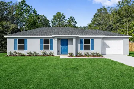 New construction Single-Family house 6 Locust Course Radl, Ocala, FL 34472 - image