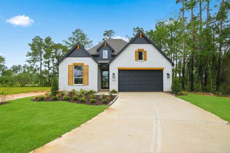 New construction Single-Family house 11502 Hooting Owl Dr, Montgomery, TX 77316 plan Surrey - image