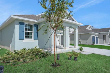 New construction Single-Family house 5414 Marshelder St, Apopka, FL 32712 plan Anna Maria - image