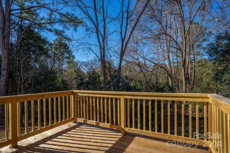 New construction Single-Family house 314 Henry Chapel Rd, Belmont, NC 28012 null- photo 35 35