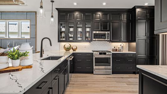 New construction Single-Family house 420 Douglas Hill Dr, Lady Lake, FL 32159 plan Eva - image 12