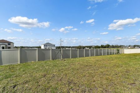 New construction Single-Family house 12227 Hilltop Farms Dr, Dade City, FL 33525 Sentinel- photo 158 158