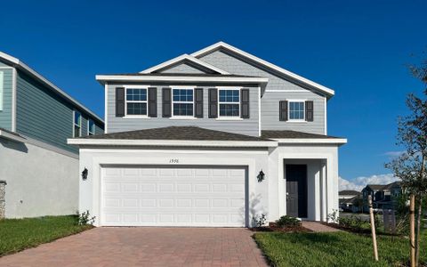 New construction Single-Family house 1976 Heart Lake Drive, Groveland, FL 34736 DeLeon- photo 0