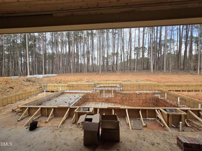 New construction Single-Family house 6460 Sanctuary Falls Dr, Raleigh, NC 27614 - image 17