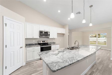 New construction Single-Family house 11339 Sw 65Th Avenue Rd, Ocala, FL 34476 plan Elm  - image 18