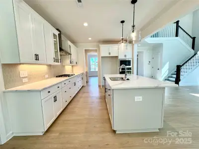 New construction Single-Family house 2587 Cornelius Pl Nw, Unit 79, Concord, NC 28027 - image