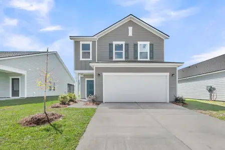 New construction Single-Family house 4030 Lemon Grass Ln, Ravenel, SC 29470 - image