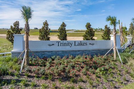 New construction Single-Family house 1996 Heart Lake Dr, Groveland, FL 34736 Gilchrist- photo 20 20