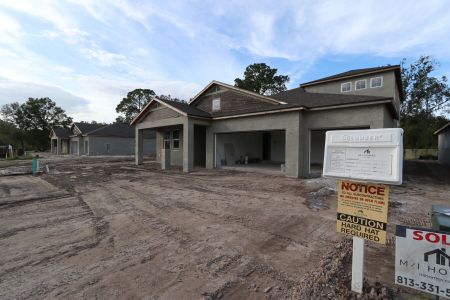 New construction Single-Family house 20243 Oriana Loop, Land O' Lakes, FL 34638 Corina  III Bonus- photo 69 69