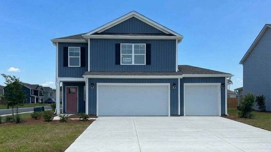 New construction Single-Family house 1038 Pampas Grass Dr, Castle Hayne, NC 28429 plan Manning - image