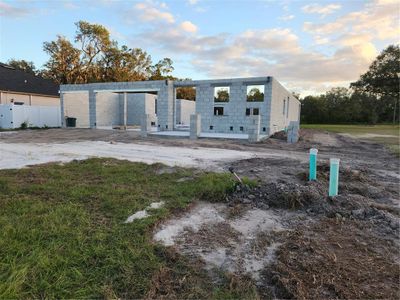 New construction Single-Family house 413 Shannon Estates Court, Plant City, FL 33563 - photo 0