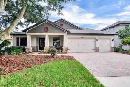 New construction Single-Family house 12420 White Blossom Ct, Parrish, FL 34219 plan Joyce - image