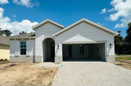 New construction Single-Family house 19679 Fort King Run, Brooksville, FL 34601 - image