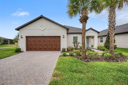New construction Single-Family house 10733 Tupper Cay Dr, San Antonio, FL 33576 plan Splendor II - image