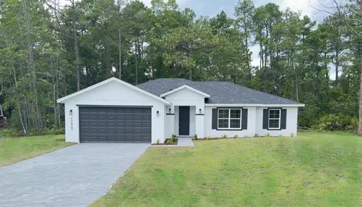 New construction Single-Family house 42065 Tamarac St, Eustis, FL 32736 - image
