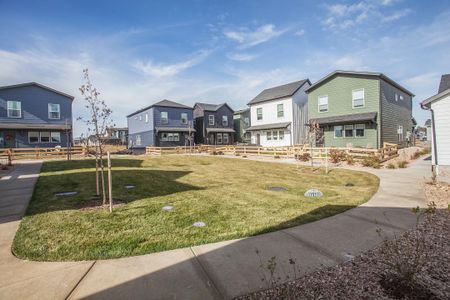 New construction Single-Family house 3255 Comet St, Fort Collins, CO 80524 plan Marigold - image